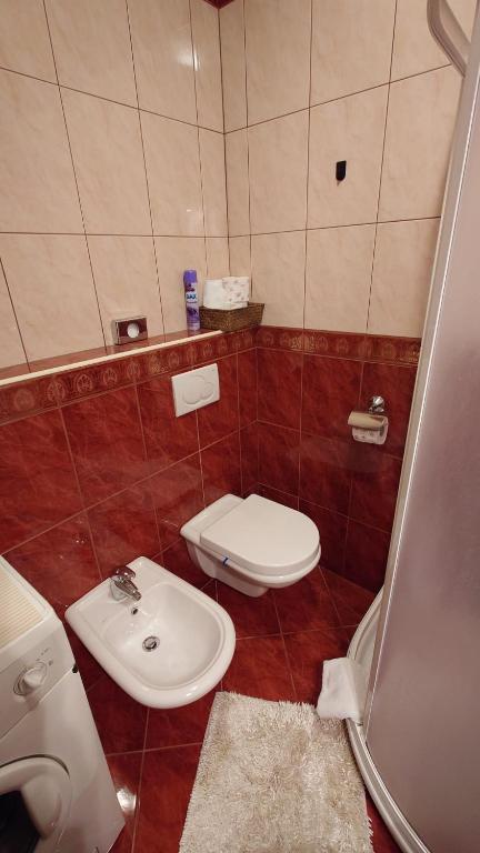 Apartments Lola - 11