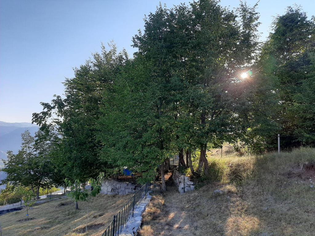 Příroda nedaleko venkovského domu