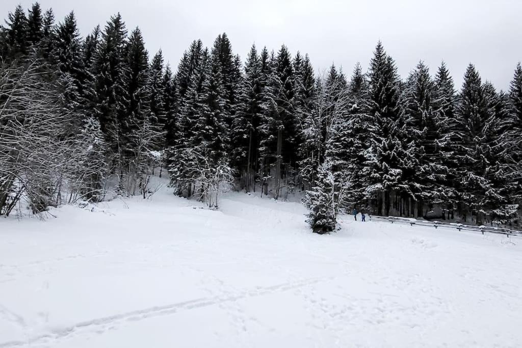 Cocon à chatel v zime