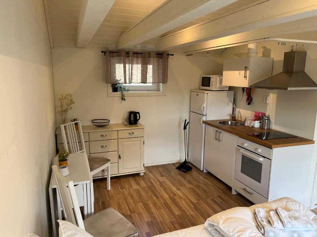 Kuchyň nebo kuchyňský kout v ubytování Guest House Stare
