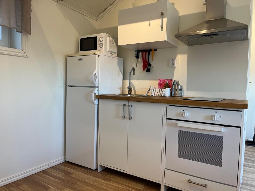 Kuchyň nebo kuchyňský kout v ubytování Guest House Stare