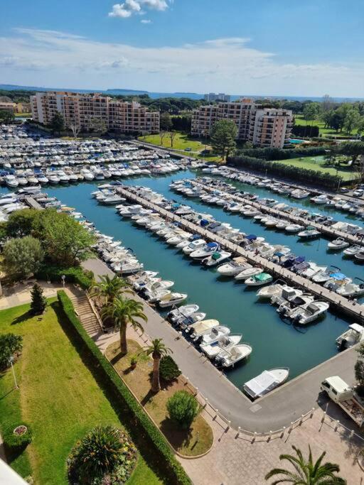 Fotografia z galérie ubytovania Studio Cannes Marina -Golf&Plage v destinácii Mandelieu La Napoule