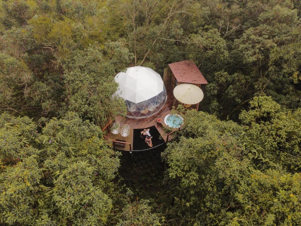 an aerial view of a round house in the trees at Solana Glamping in Pereira