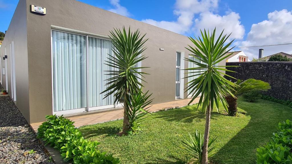 a house with two palm trees in front of it at Magnolia Residence - In the Center of the Island in Ribeira Grande