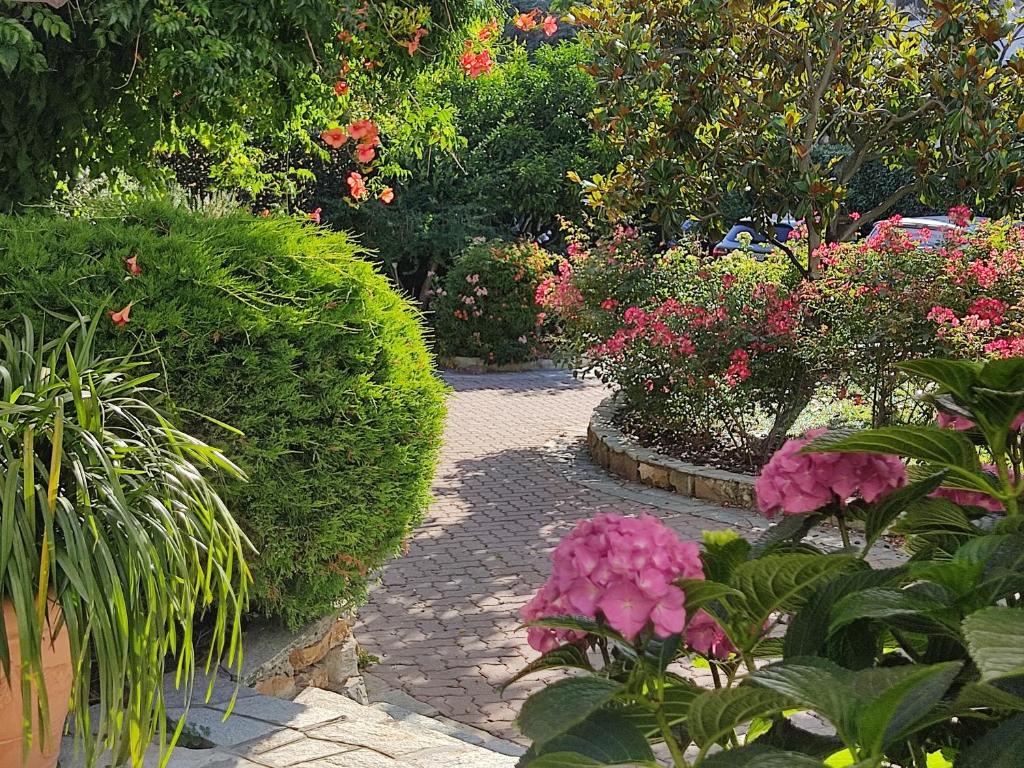 Cà De Rossana Bed&Breakfast - Hizvo