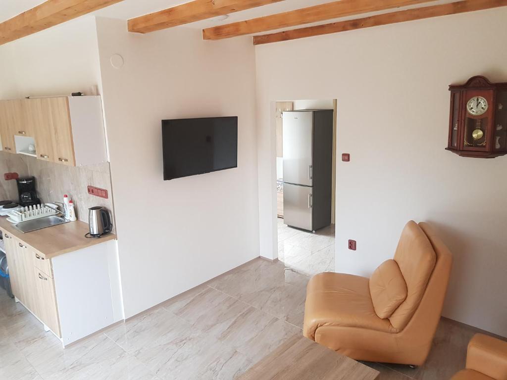 TV a/nebo společenská místnost v ubytování Apartmán ANNA s vinným sklepem Pouzdřany