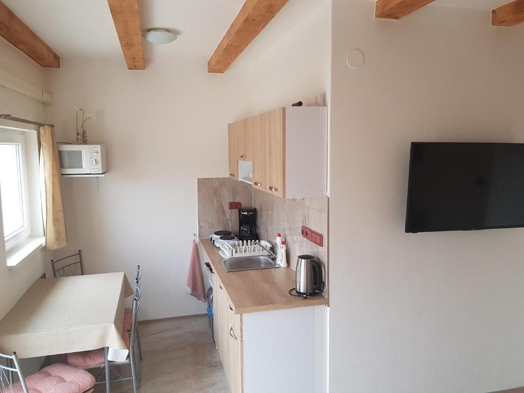 Kuchyň nebo kuchyňský kout v ubytování Apartmán ANNA s vinným sklepem Pouzdřany