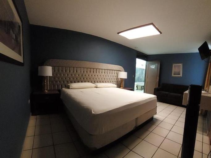 阿瓜斯卡連特斯的住宿－Hotel el Cortes，一间卧室配有一张大床和一张沙发