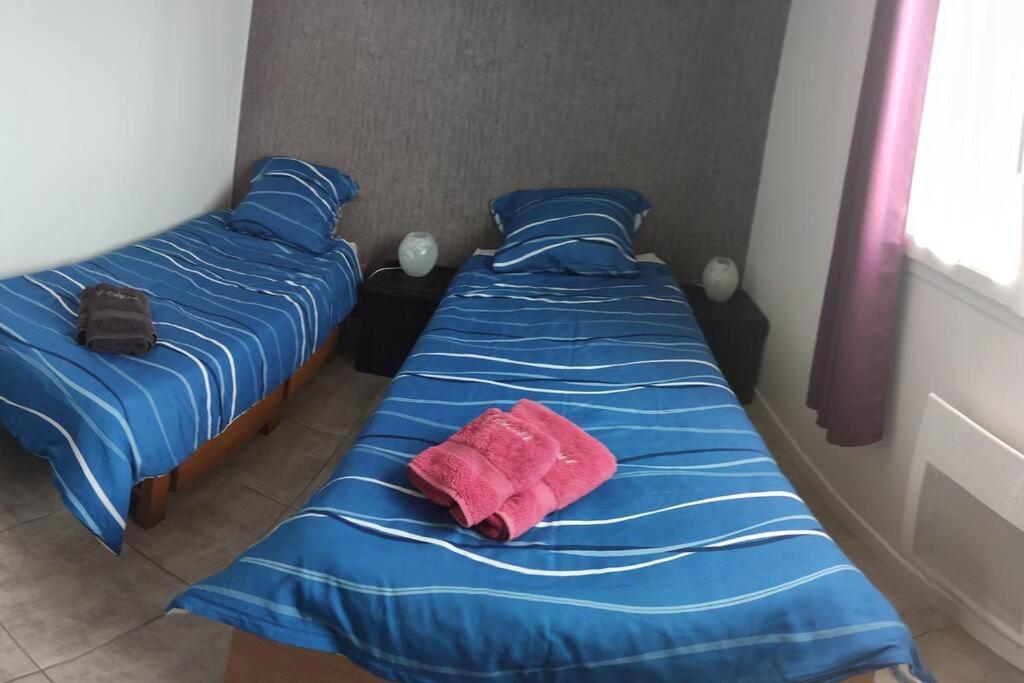 two beds in a room with blue sheets and a pink pillow at L&#39;Odyssée gîte avec sa piscine privative in Joyeuse