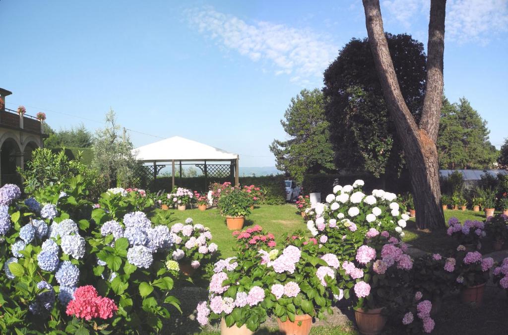 Zahrada ubytování Hotel Le Renaie