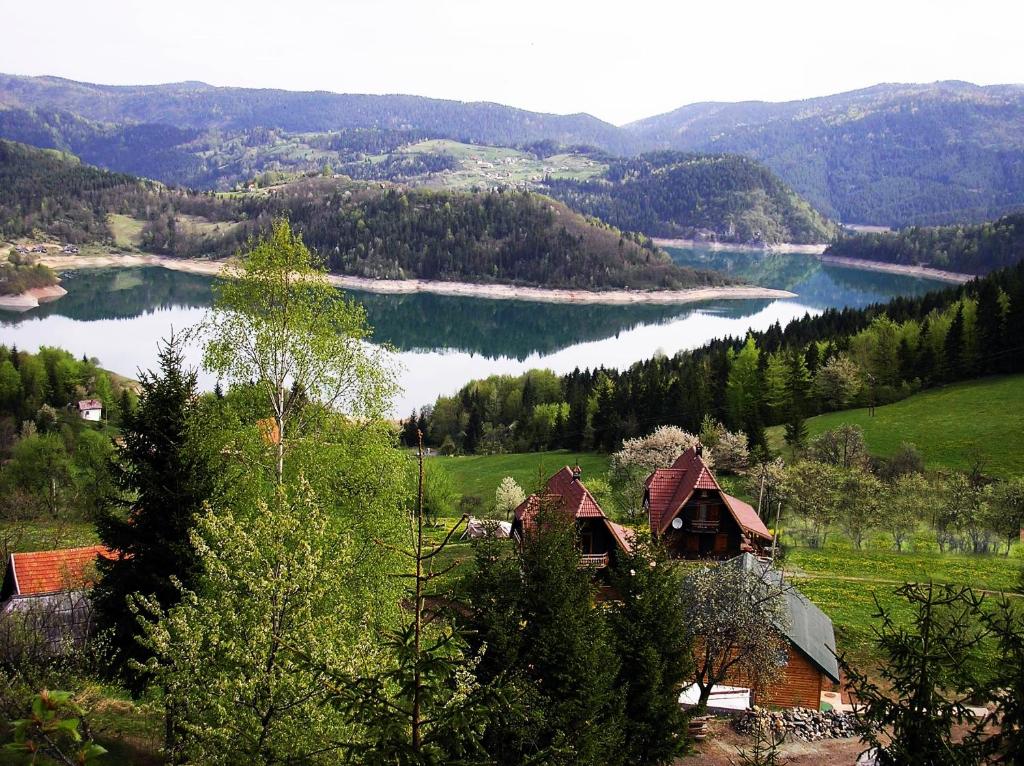 uma vista para um lago com casas e árvores em Konaci Zaovljanska jezera em Zaovine