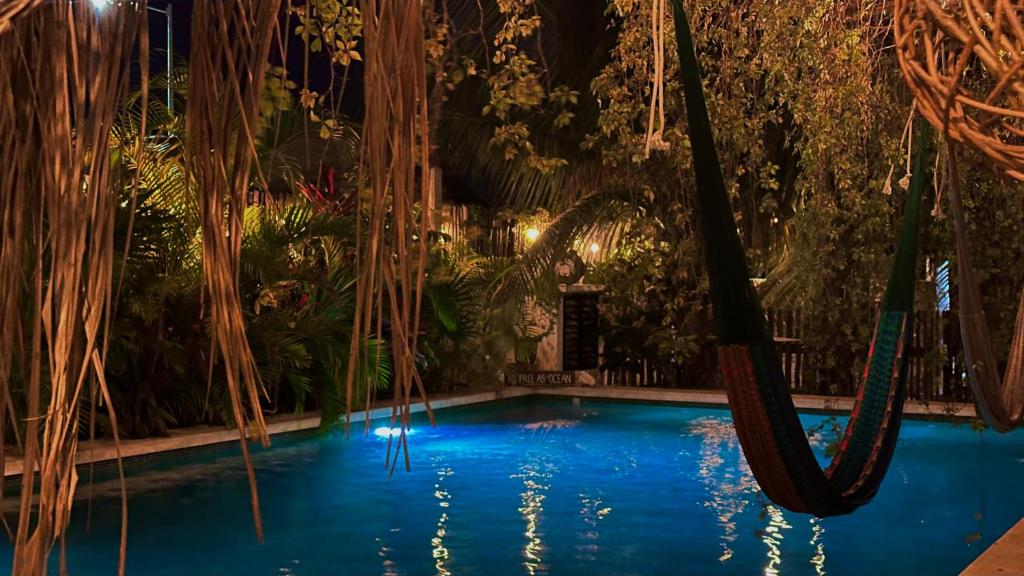 a swimming pool with hammocks in a garden at night at Hotel Jaiba Mahahual - Adults Only in Mahahual