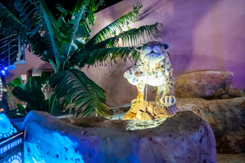 una statua di giaguaro illuminata di fronte a una pianta di Riad dar asalam ad Agadir
