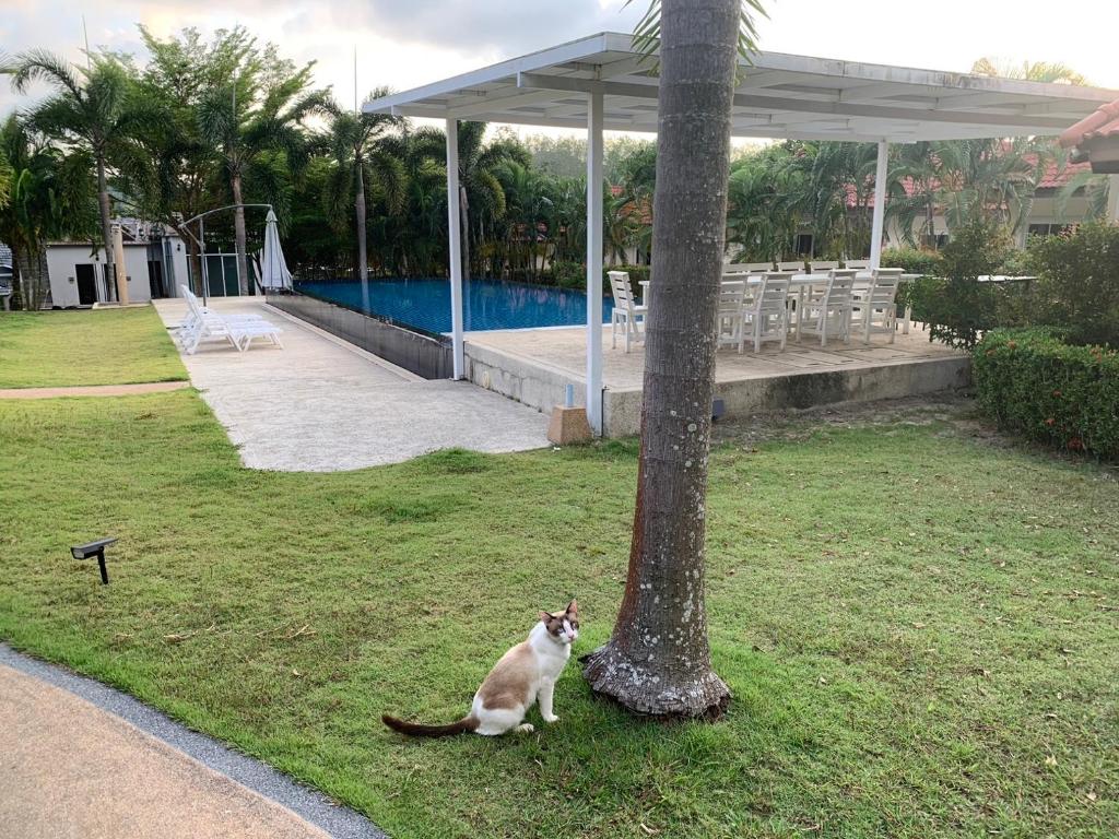 Phuket Airport Villa - Resim 20