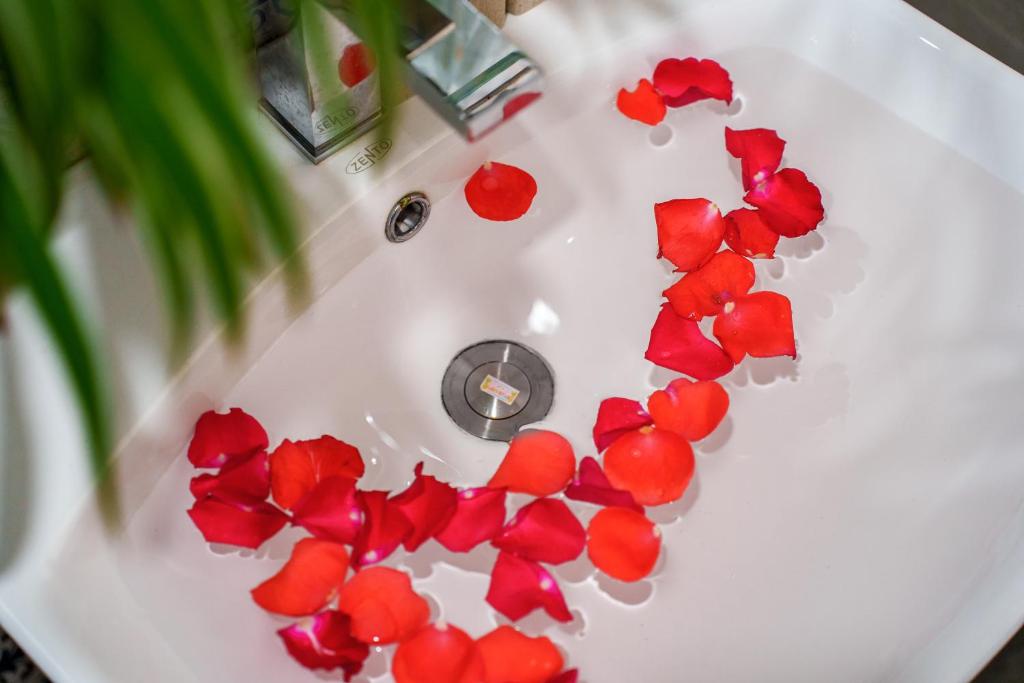 Bố cục HAI DAO HOI AN VILLA
