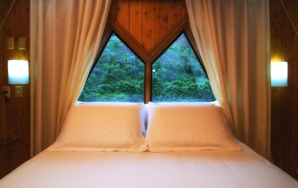 Mejores Hoteles en Monteverde, Costa Rica 44609560