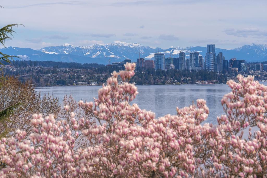シアトルにあるSunrise on Lake Washingtonのピンクの花が咲く川と市街の景色