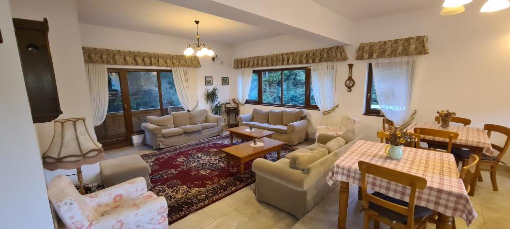 sala de estar con sofá y mesa en Arnica Montana en Arieşeni