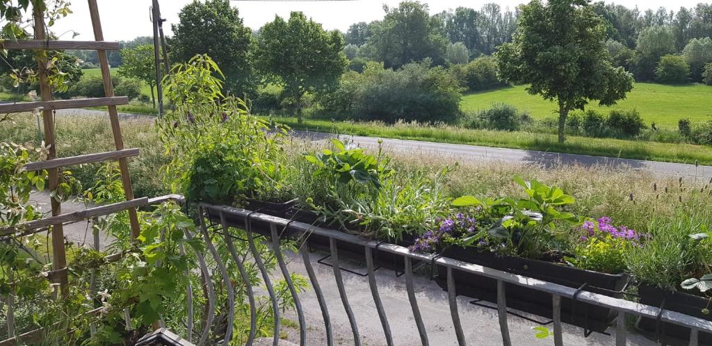 un jardín con plantas al lado de una carretera en Ferienwohnung Niederrhein, en Wesel