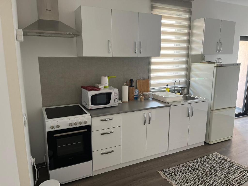 Kuchyň nebo kuchyňský kout v ubytování Apartman Paradiso