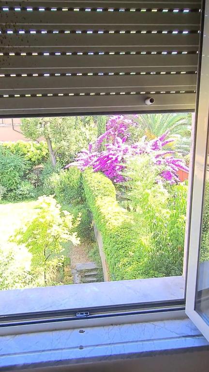 A garden outside Villa Riari Garden