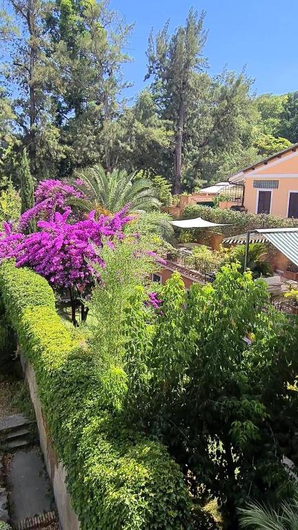 A garden outside Villa Riari Garden