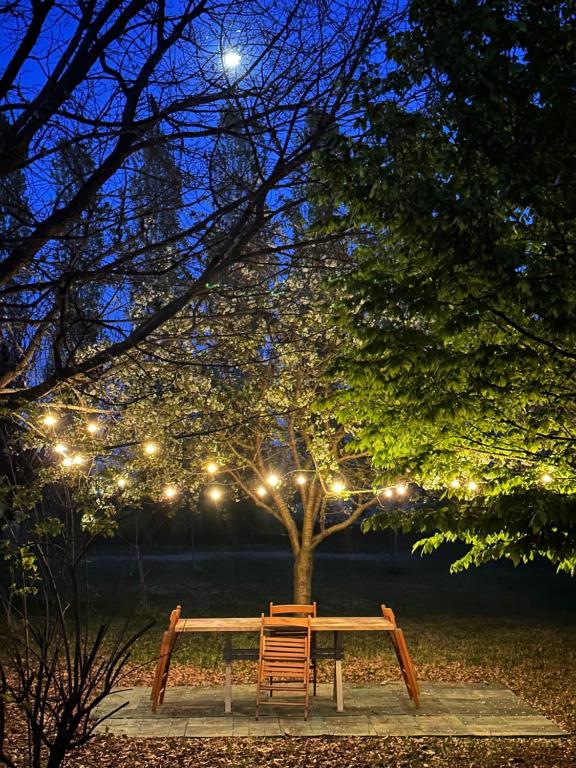 Zahrada ubytování B&B Podere Merlo