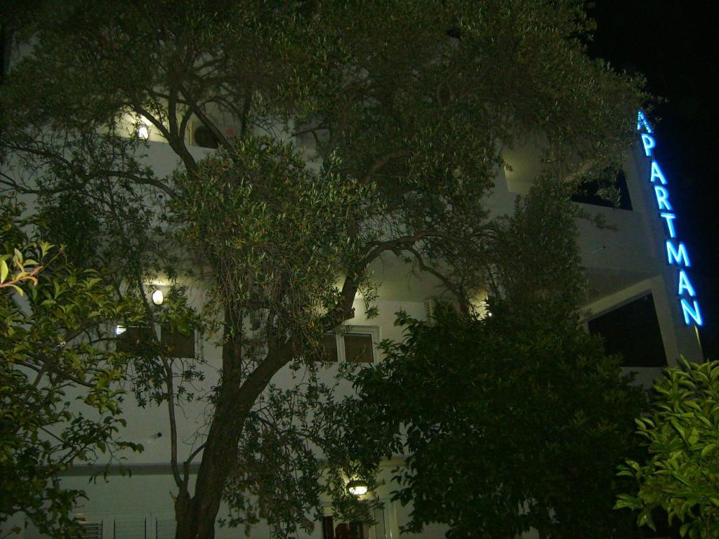 Lyon Apartments, Budva (updated prices 2024)