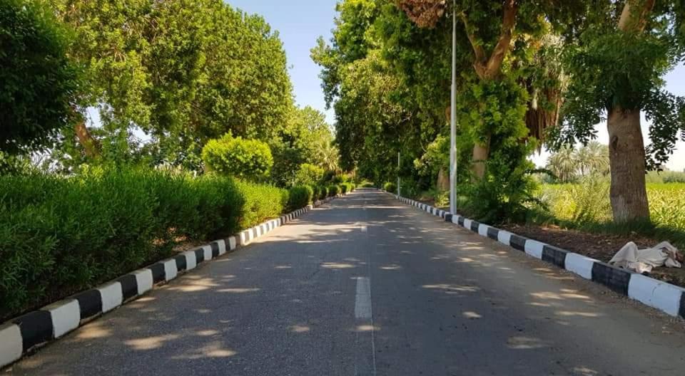 an empty road with trees on either side at الميناء السياحي جزيرة القرنة in Luxor