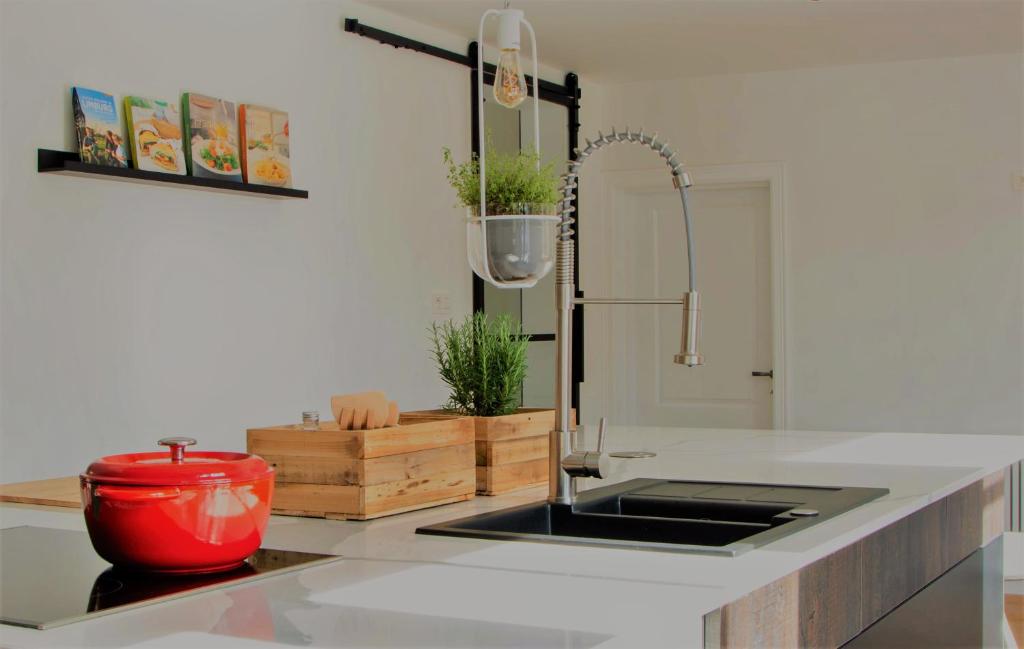 a kitchen with a sink and a red pot on a counter at Vakantiehuis Zand7 in Lommel