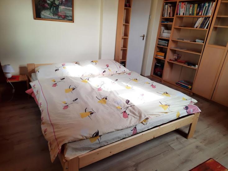 Postel nebo postele na pokoji v ubytování Tahi Apartman