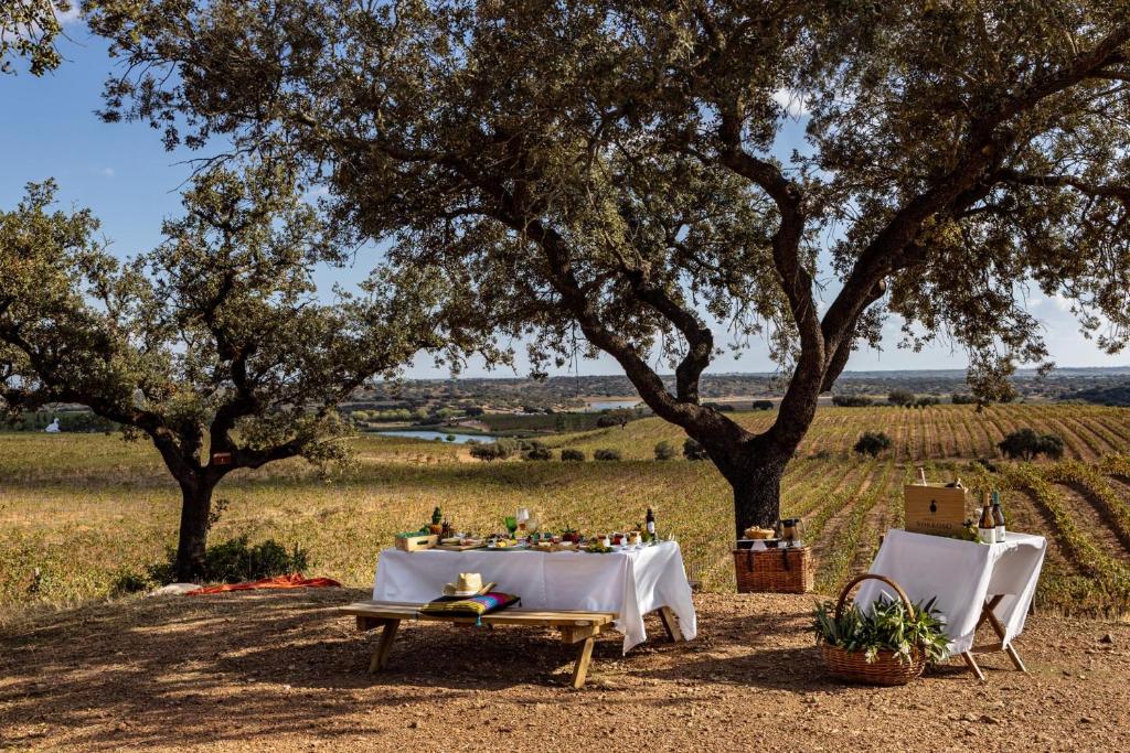 un tavolo e sedie in un campo alberato di Herdade Do Sobroso Wine & Luxury Boutique Hotel a Pedrógão