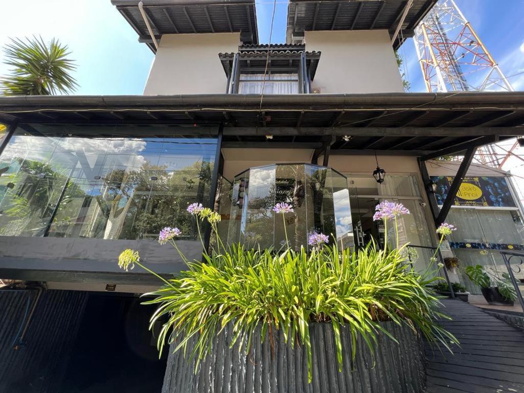 a building with plants in front of a building at Pousada Thiany in Bento Gonçalves