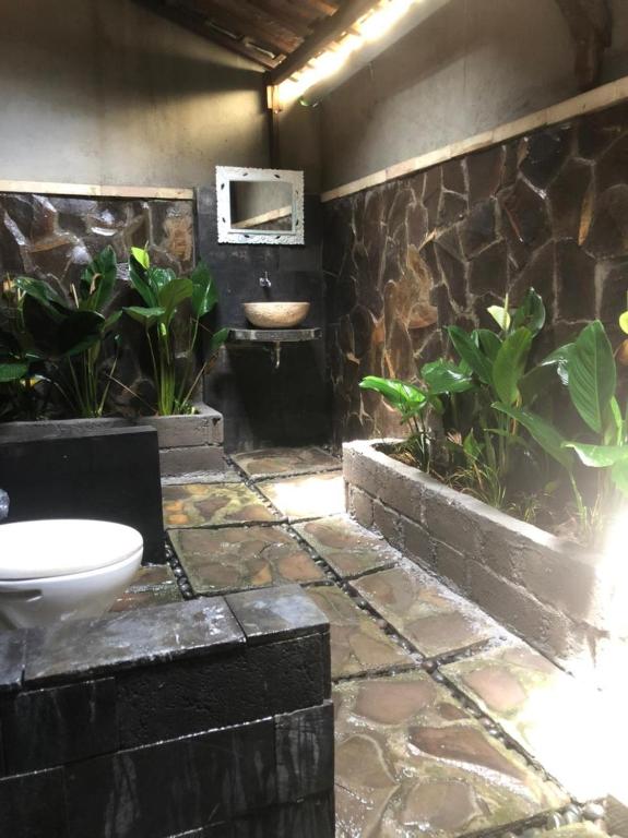Fotografie z fotogalerie ubytování Green Paddy Hostel & Villa v Ubudu