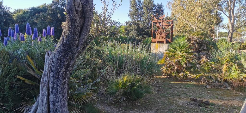 Gallery image of Studio vue sur mer in La Seyne-sur-Mer