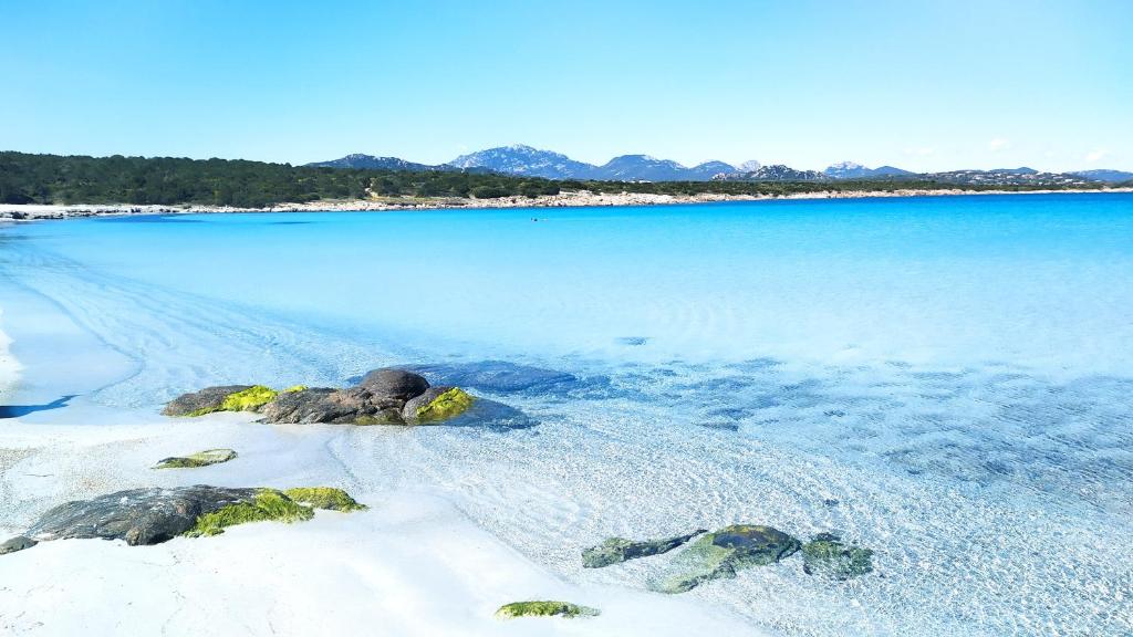 une plage de rochers et d'eau bleue dans l'établissement Sardegna Top Golfo Di Marinella, à Golfo Aranci