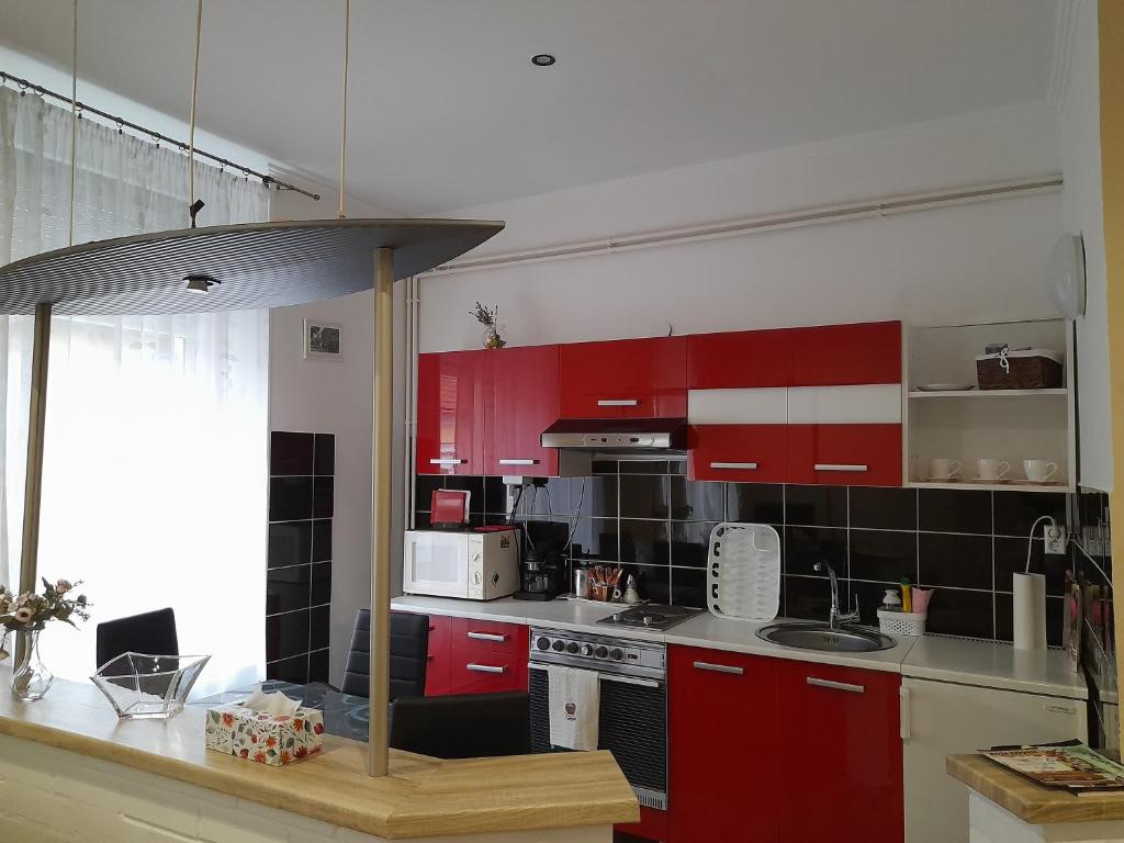 Kuchyň nebo kuchyňský kout v ubytování Edina Apartman