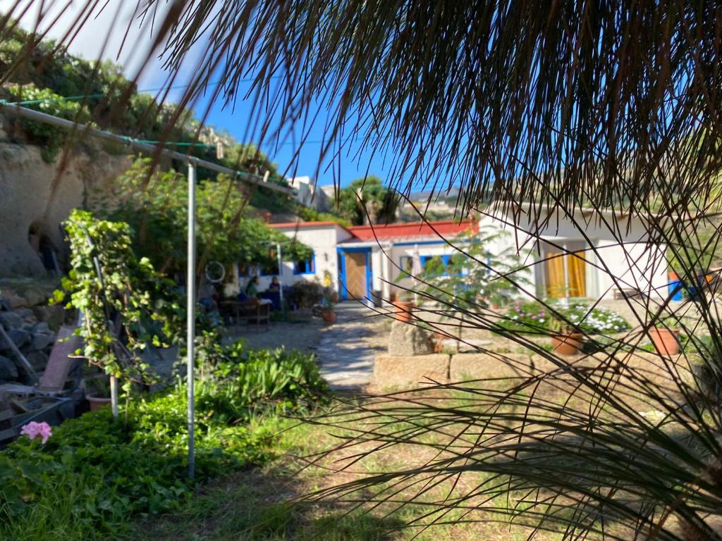 Blick auf ein Haus mit einer Palme in der Unterkunft A peaceful country house in Tenerife in Fasnia