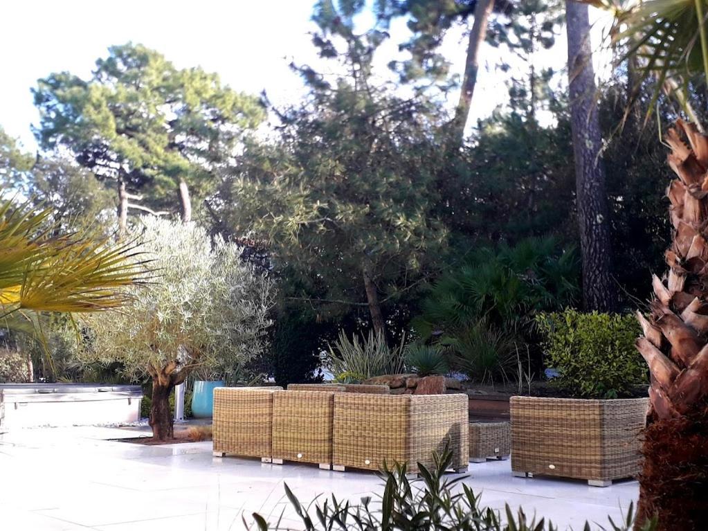 a garden with wicker furniture and trees and bushes at Belle de Dune in La Baule
