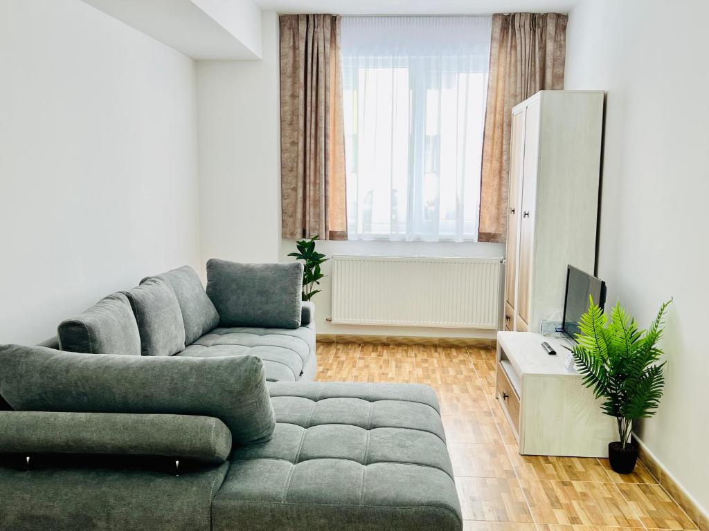 uma sala de estar com um sofá e uma televisão em Altheda Living Brownie 29E-2 em Suceava