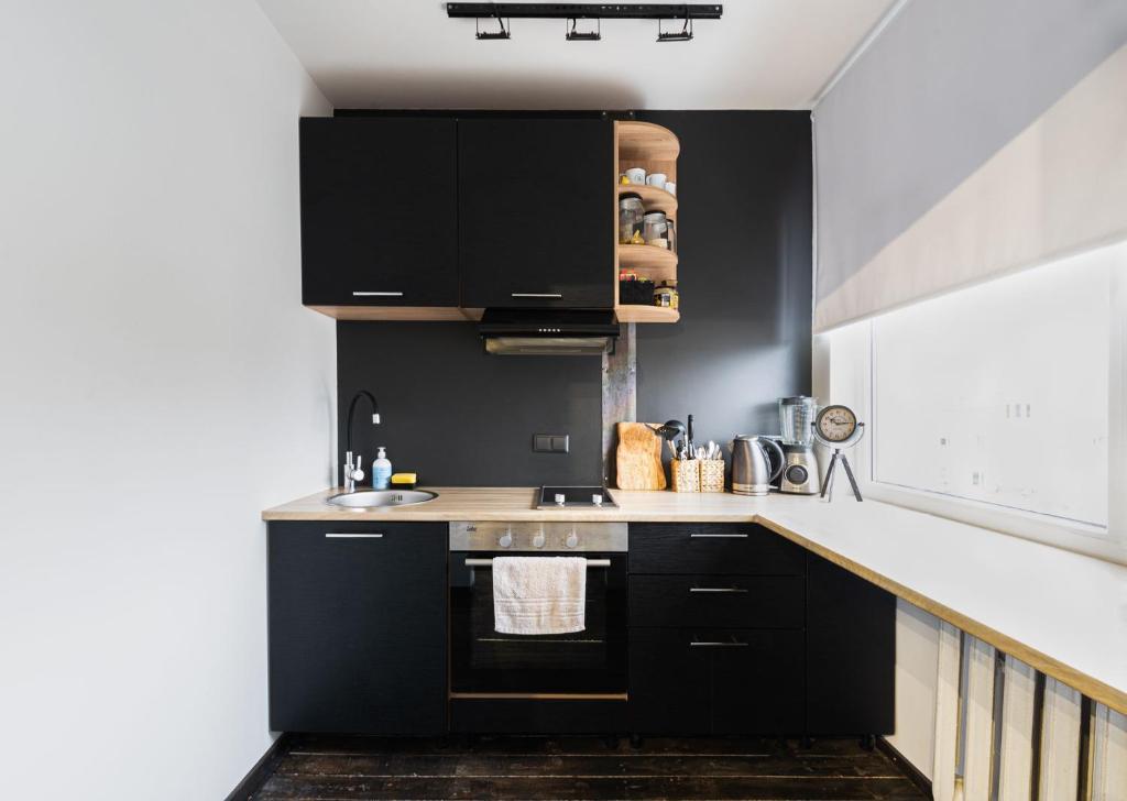 Kuchyň nebo kuchyňský kout v ubytování Apartments24 Laada 4