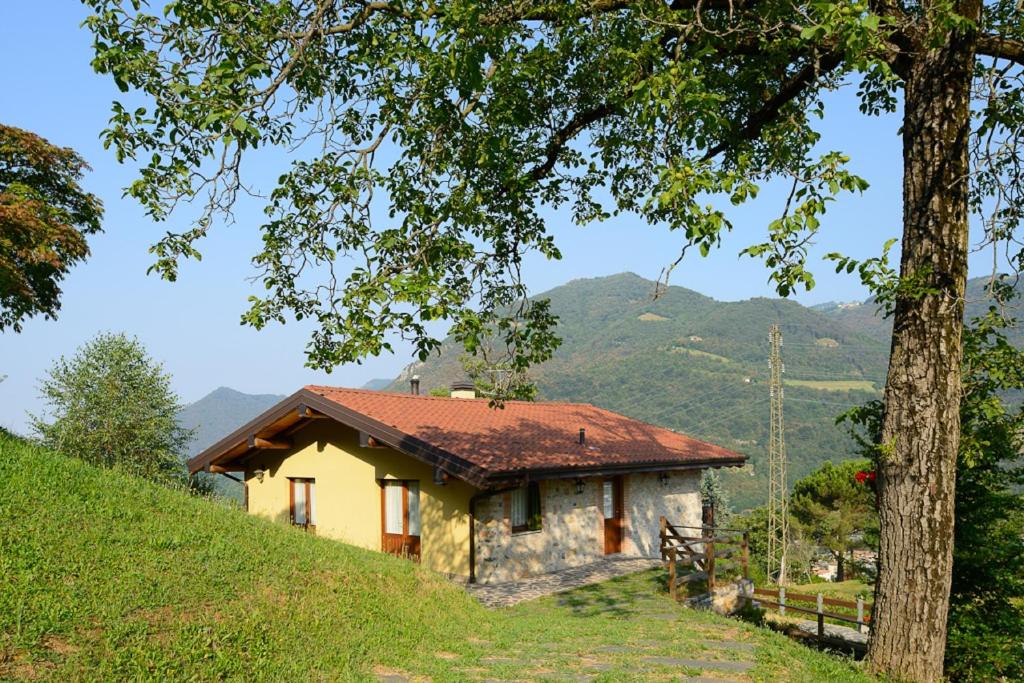 Příroda nedaleko bed and breakfast
