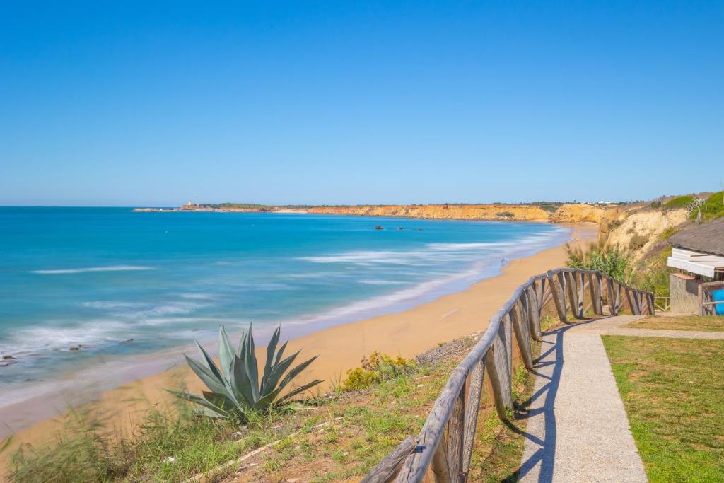 a path leading to a beach with the ocean at Apartamentos El Roqueo in Conil de la Frontera