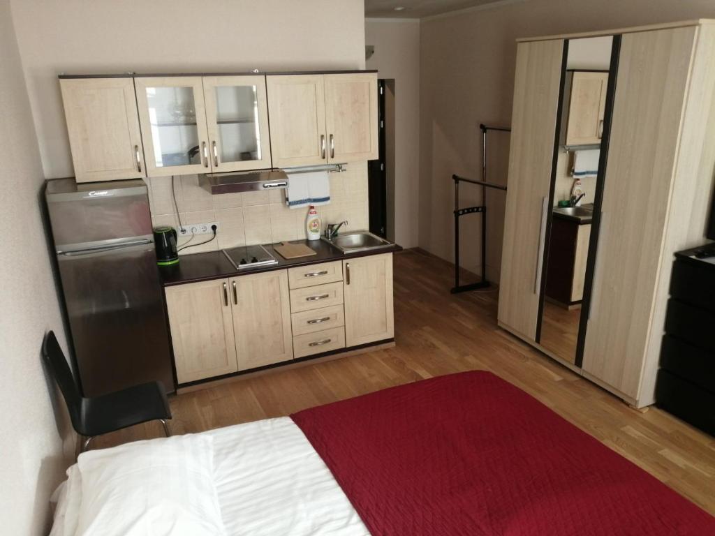 Kuchyň nebo kuchyňský kout v ubytování Telliskivi Apartment