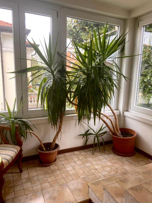 Ogród w obiekcie B&B Magnolia