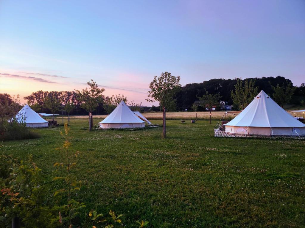 Zahrada ubytování Pluimpapaver Hotel & Glamping