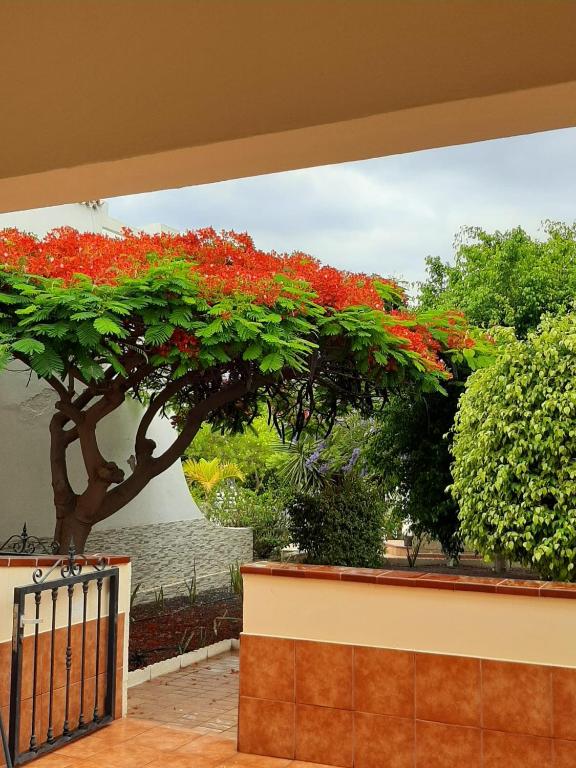 Fotografie z fotogalerie ubytování The Palms 2 Bed Duplex with Pool View v destinaci San Miguel de Abona