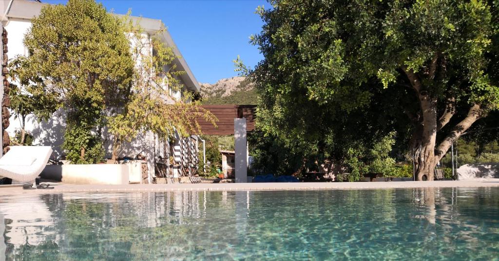 a swimming pool in front of a house with trees at Villa Maria in Dorgali