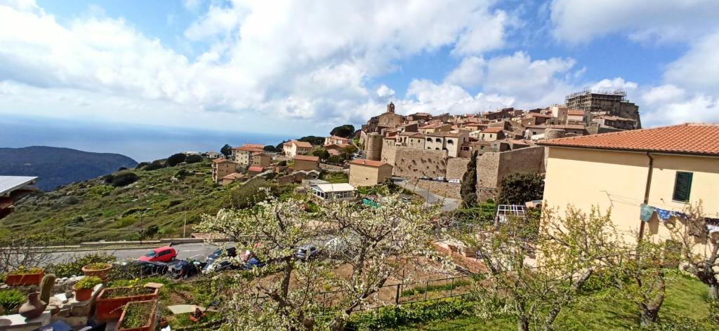 a town on top of a hill with buildings at Appartamenti Giglio Castello in Isola del Giglio