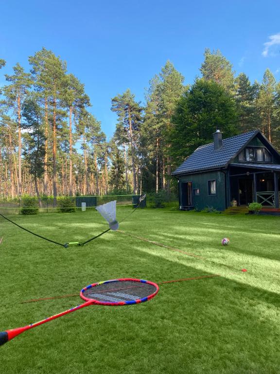 a kite on the grass in front of a house at Roztocze - Domek - Trzy Sosny in Rebizanty